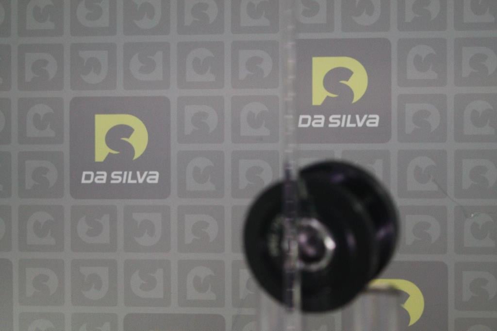 Polia do alternador DA SILVA S.A.S. ref. PRL170