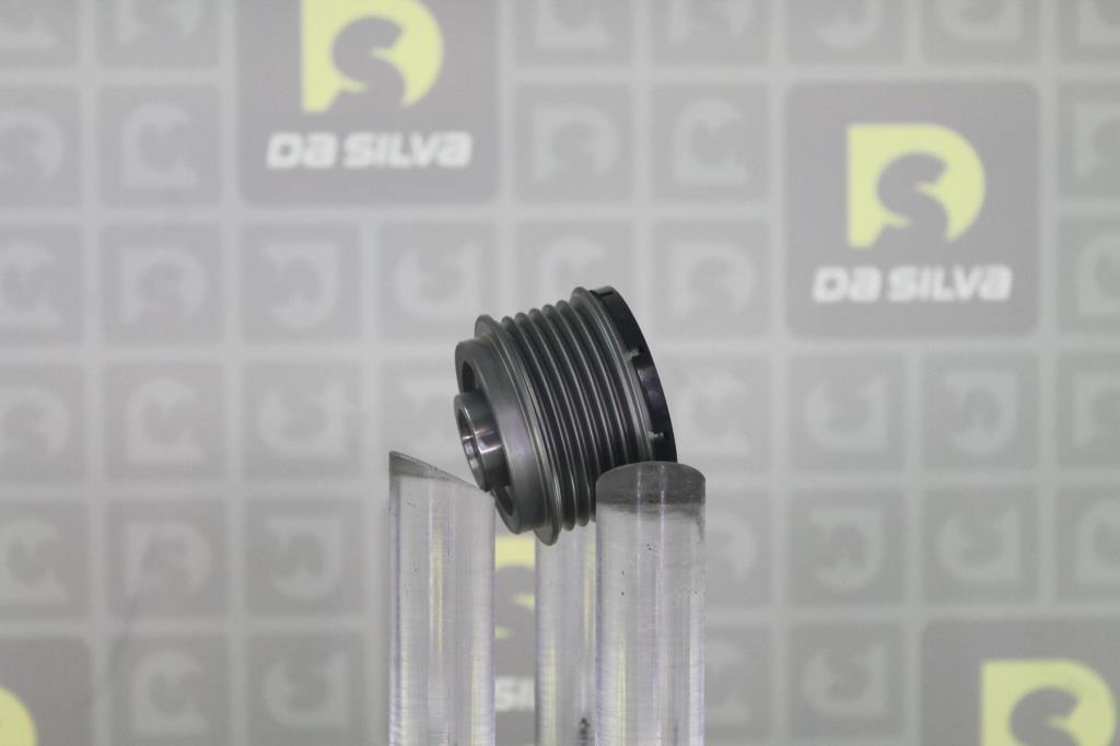 Polia do alternador DA SILVA S.A.S. ref. PRL171