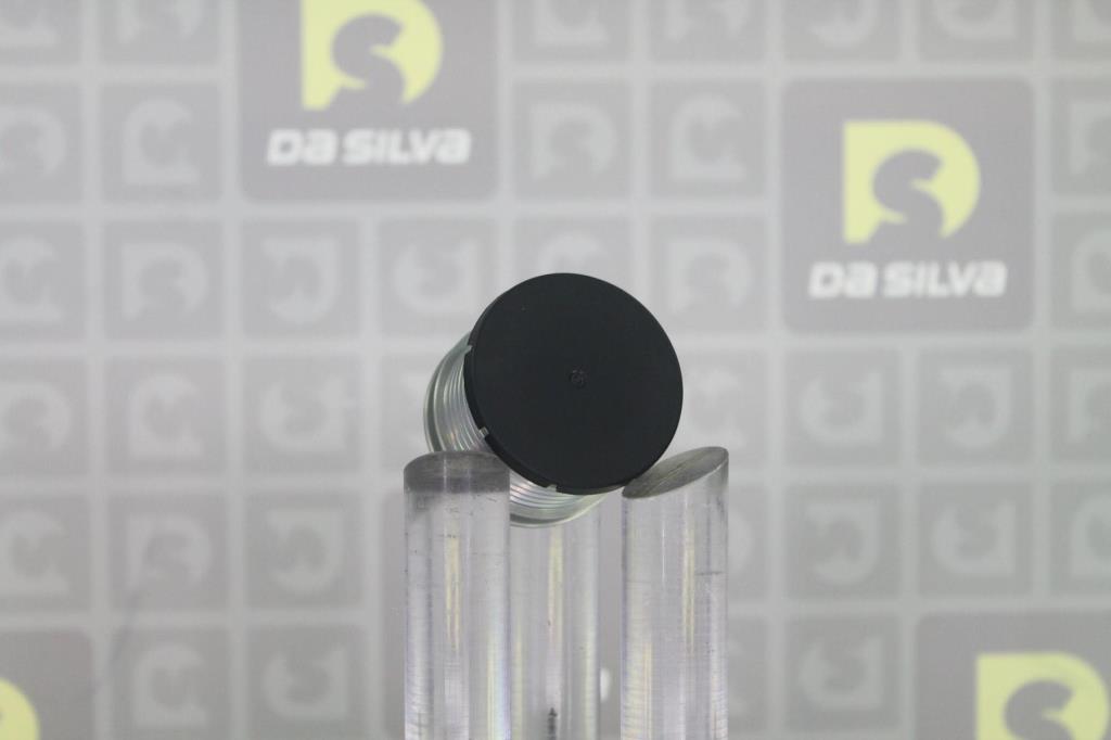 Polia do alternador DA SILVA S.A.S. ref. PRL175