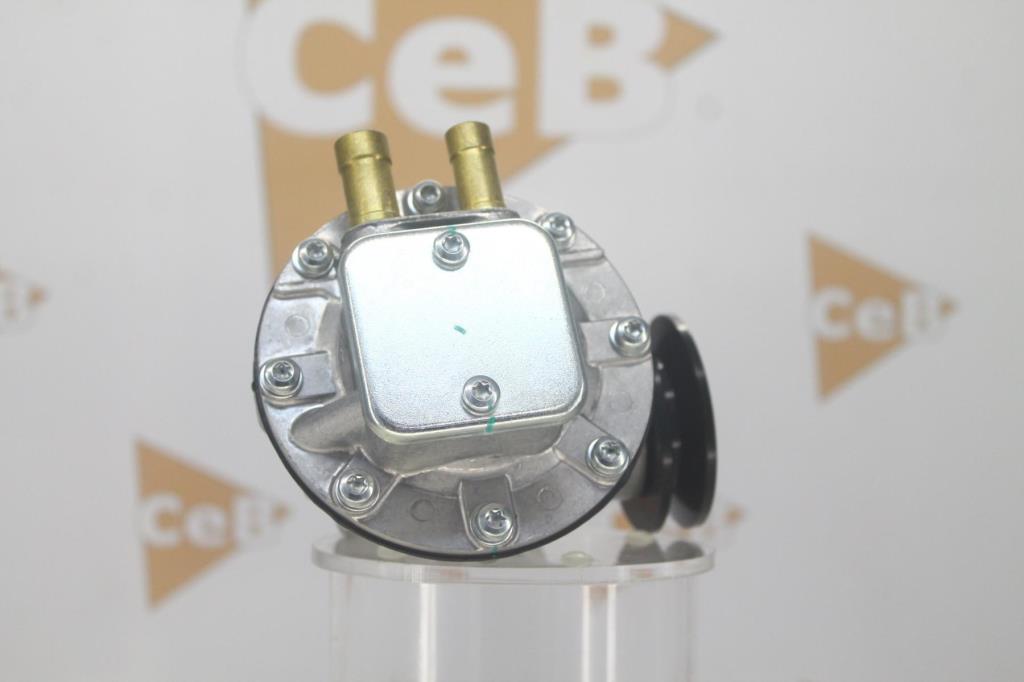 Bomba de vácuo DA SILVA S.A.S. PV4011