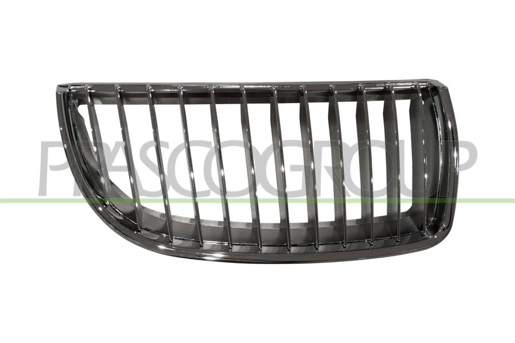 Grille de radiateur PRASCO BM0242003
