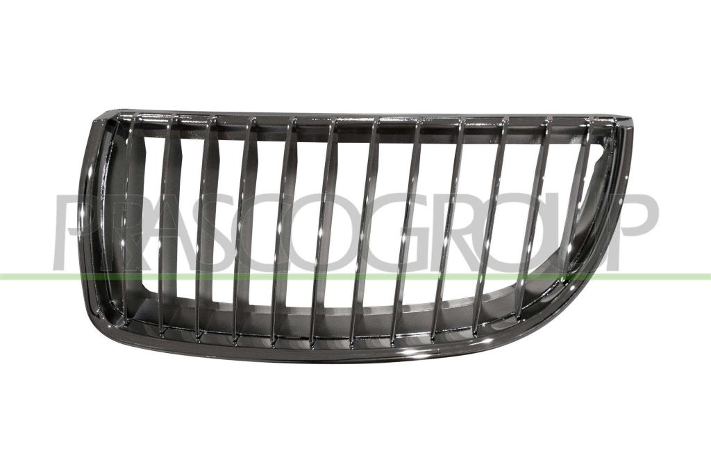 Grille de radiateur PRASCO BM0242004