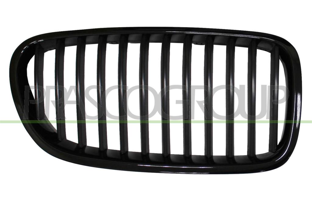 Grille de radiateur PRASCO ref. BM0482004