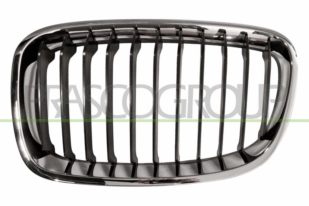 Grille de radiateur PRASCO ref. BM1232004