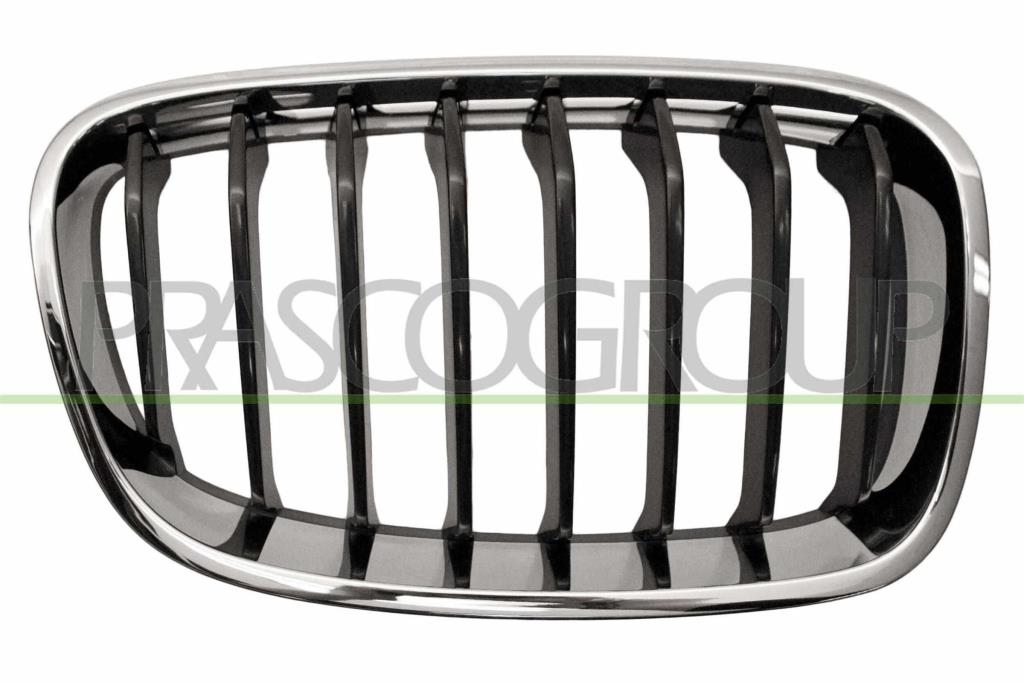Grille de radiateur PRASCO ref. BM1232023