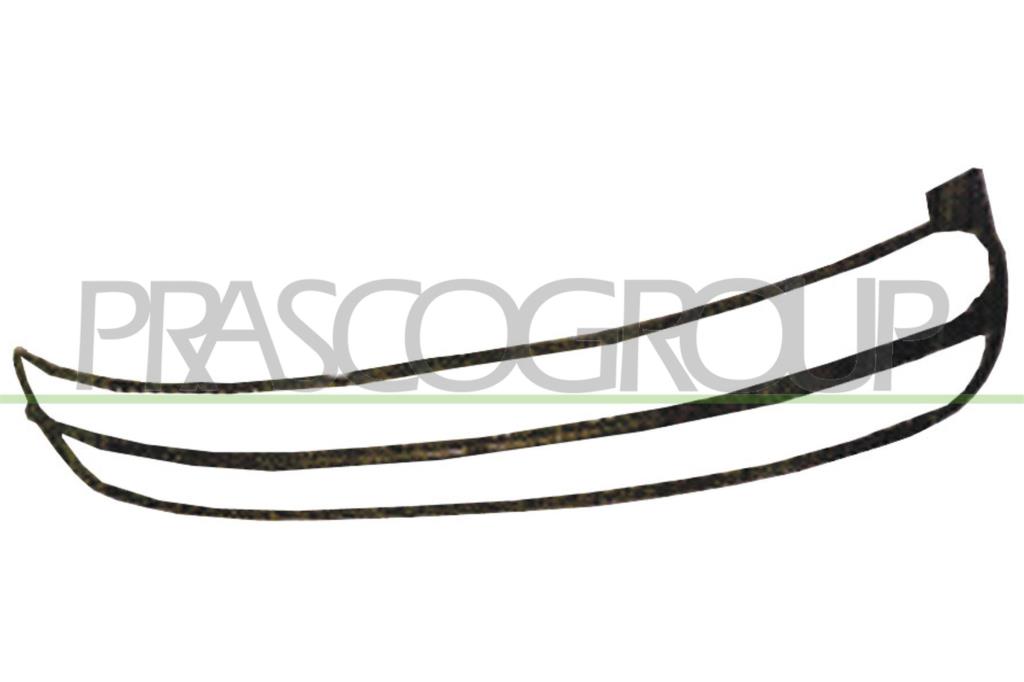 Marco, panal de radiador PRASCO ref. VG4202305