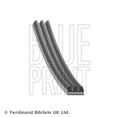 Correia trapezoidal estriada Blue Print ref. AD03R682