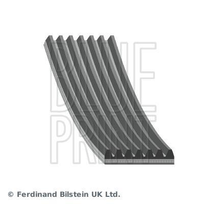 Correa trapezoidal nervada Blue Print ref. AD07R1535