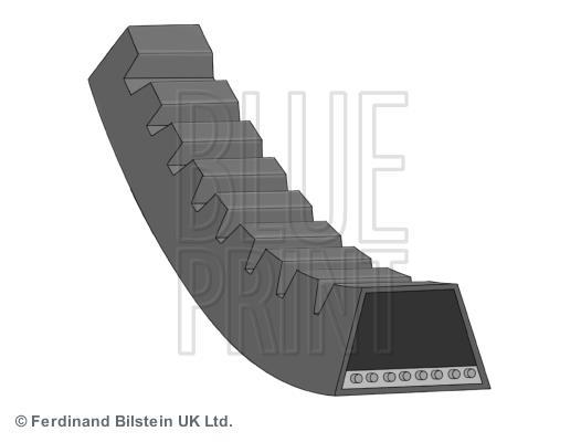 Correa trapezoidal nervada Blue Print ref. AD13V925
