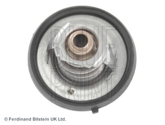 Thermostat d'eau (Calorstat) Blue Print ADA109203