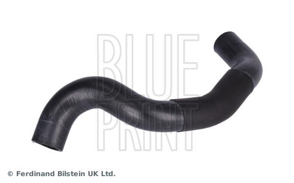 Durite de radiateur (Durite de refroidissement) Blue Print ref. ADBP930010