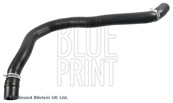 Durite de radiateur (Durite de refroidissement) Blue Print ADBP930013