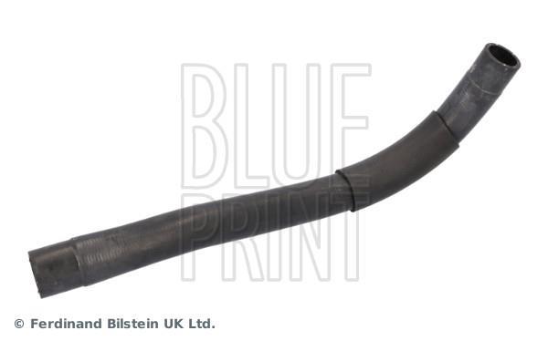 Durite de radiateur (Durite de refroidissement) Blue Print ref. ADBP930015