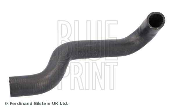 Durite de radiateur (Durite de refroidissement) Blue Print ref. ADBP930017