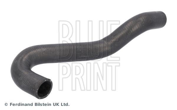 Durite de radiateur (Durite de refroidissement) Blue Print ref. ADBP930017