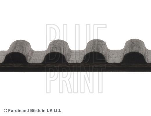 Correia de distribuição Blue Print ref. ADC47502