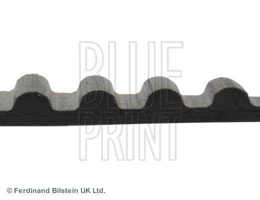 Correia de distribuição Blue Print ref. ADC47503
