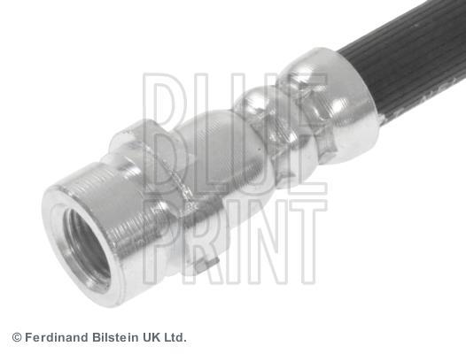 Flexible de frein (Durite de frein) Blue Print ref. ADF125303