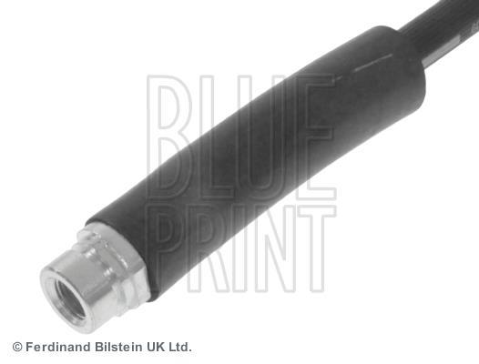 Flexible de frein (Durite de frein) Blue Print ref. ADF125303