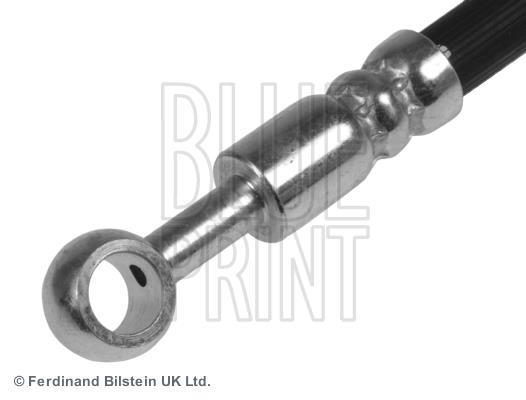 Flexible de frein (Durite de frein) Blue Print ADG053180