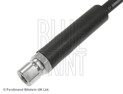 Flexible de frein (Durite de frein) Blue Print ref. ADG053181