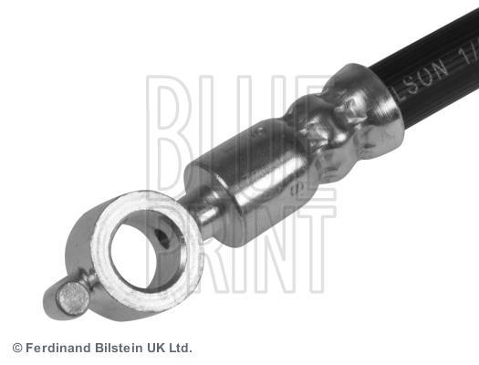 Flexible de frein (Durite de frein) Blue Print ref. ADG053216