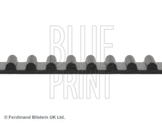 Correia de distribuição Blue Print ref. ADG07501