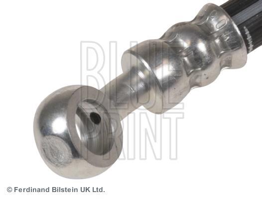 Flexible de frein (Durite de frein) Blue Print ADM553111C