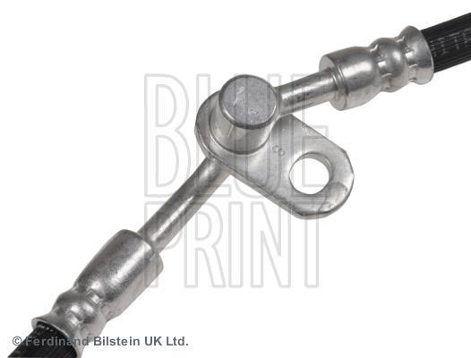 Flexible de frein (Durite de frein) Blue Print ADM553117C