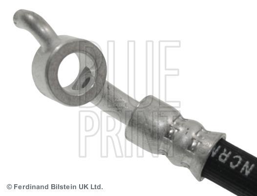 Flexible de frein (Durite de frein) Blue Print ref. ADN153199