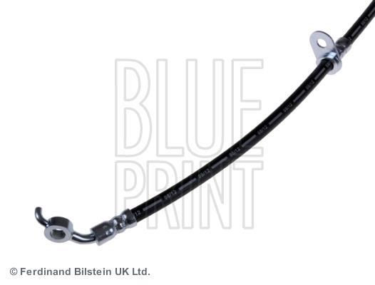 Flexible de frein (Durite de frein) Blue Print ADT353197
