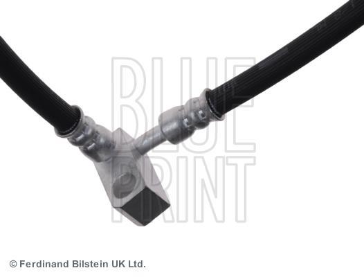 Flexible de frein (Durite de frein) Blue Print ADT353205