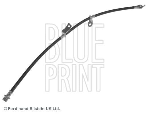 Flexible de frein (Durite de frein) Blue Print ref. ADT353272