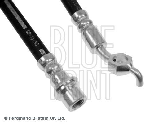 Flexible de frein (Durite de frein) Blue Print ref. ADT353282