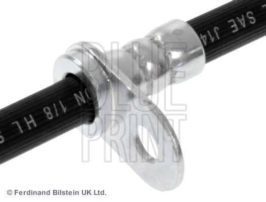 Flexible de frein (Durite de frein) Blue Print ref. ADT353330C