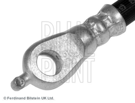 Flexible de frein (Durite de frein) Blue Print ref. ADT353337