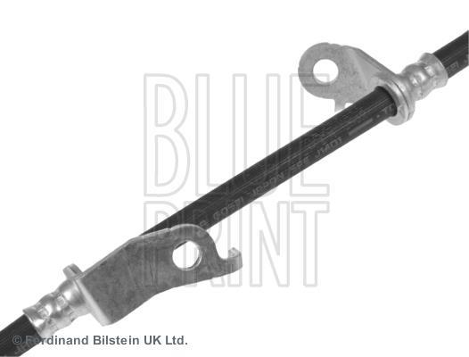 Flexible de frein (Durite de frein) Blue Print ref. ADT353337