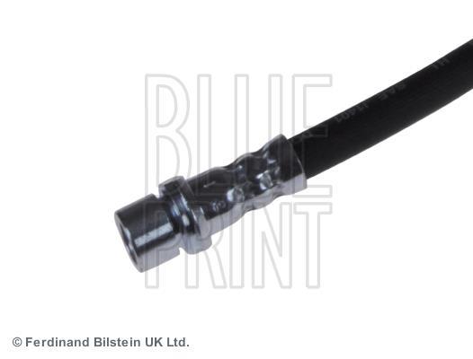 Flexible de frein (Durite de frein) Blue Print ref. ADT353392