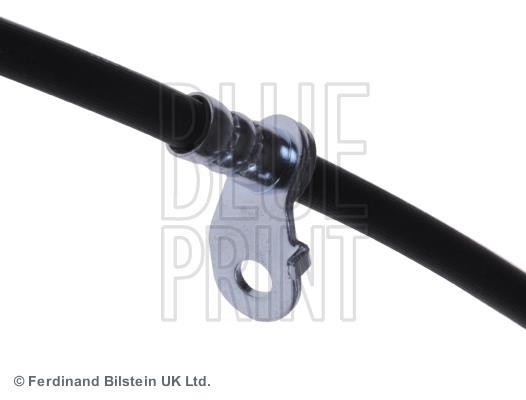 Flexible de frein (Durite de frein) Blue Print ADT353401