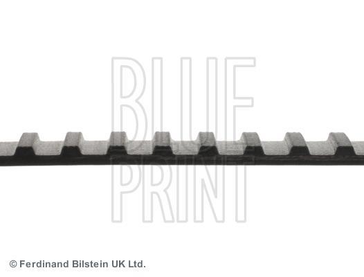 Correia de distribuição Blue Print ref. ADT37502