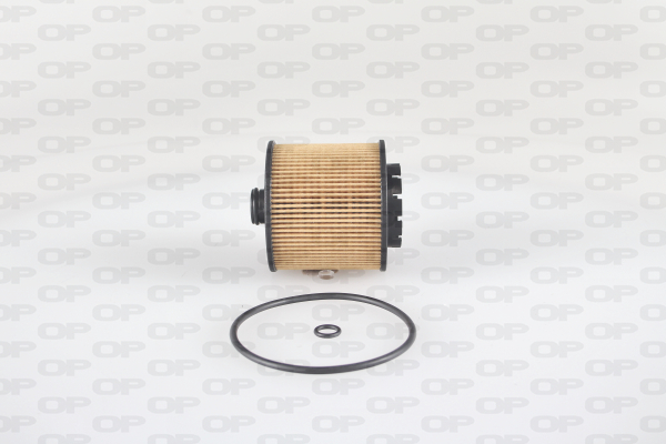 Filtre à huile OPEN PARTS EOF4286.10
