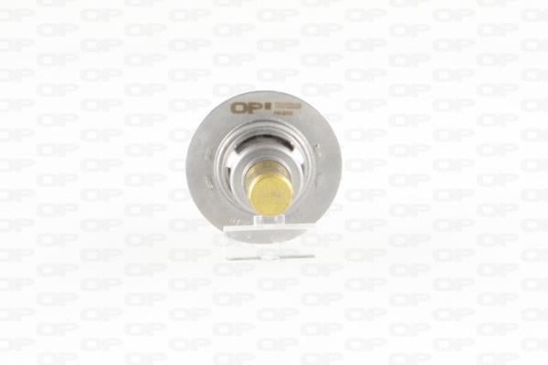 Thermostat d'eau (Calorstat) OPEN PARTS ref. TRM1009.00