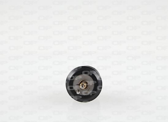 Thermostat d'eau (Calorstat) OPEN PARTS ref. TRM1125.00
