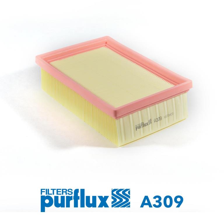 Filtre à air PURFLUX A309