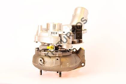 Turbocompresseur (Turbo) Turbo's Hoet ref. 1103400
