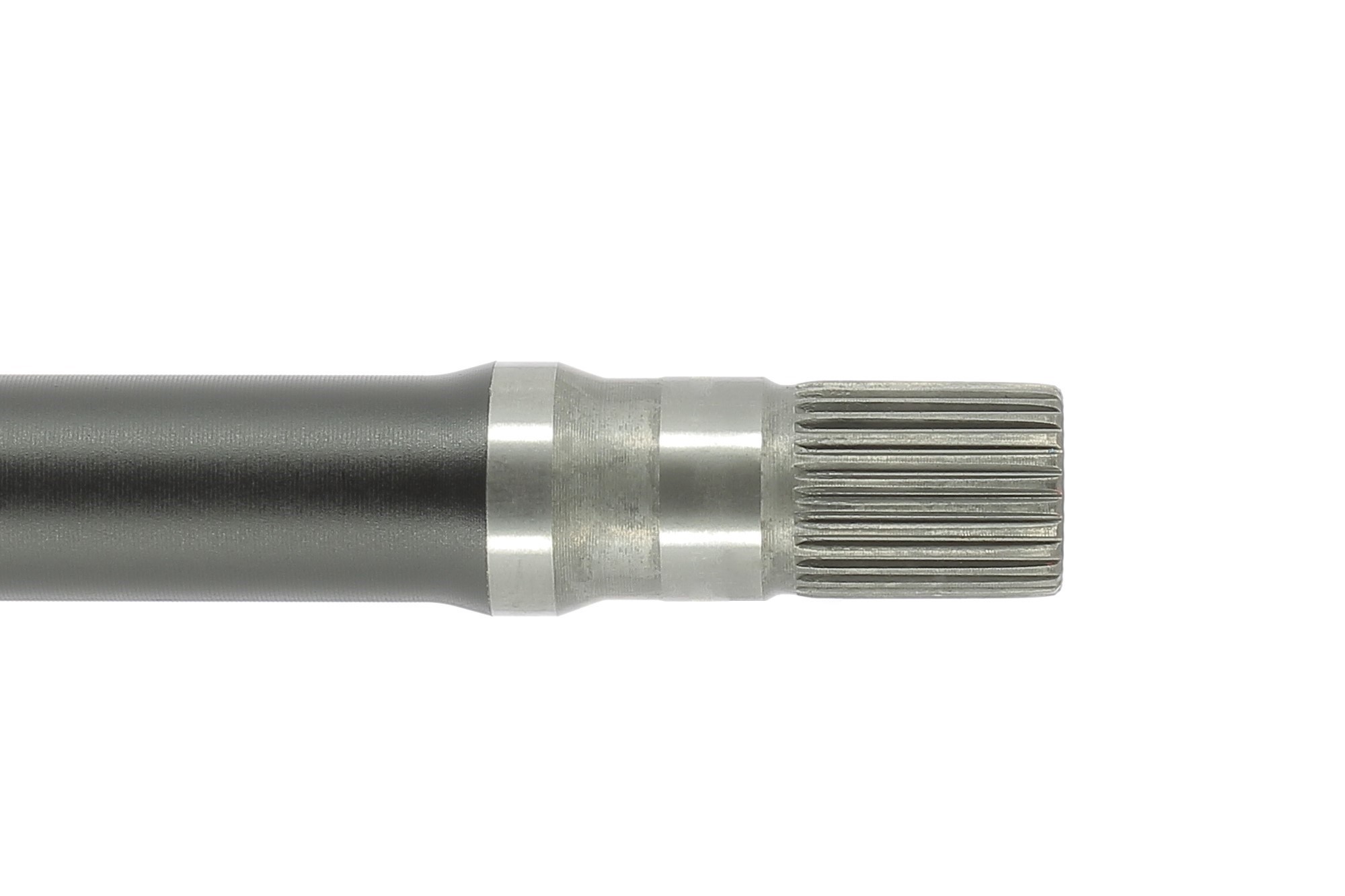 Cardã CEVAM 50122