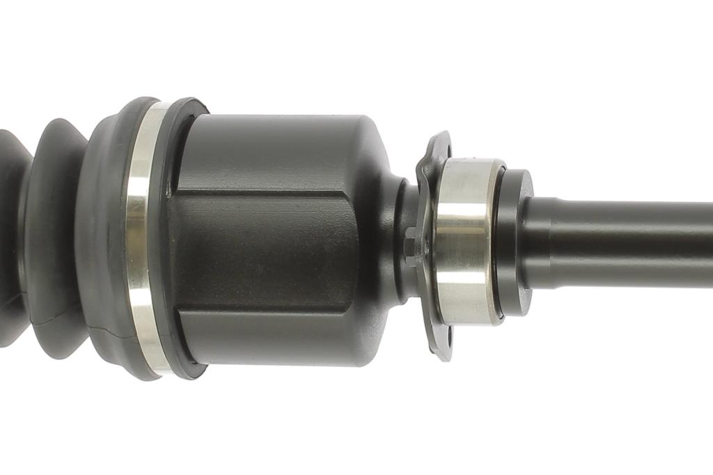 Cardã CEVAM ref. 50124