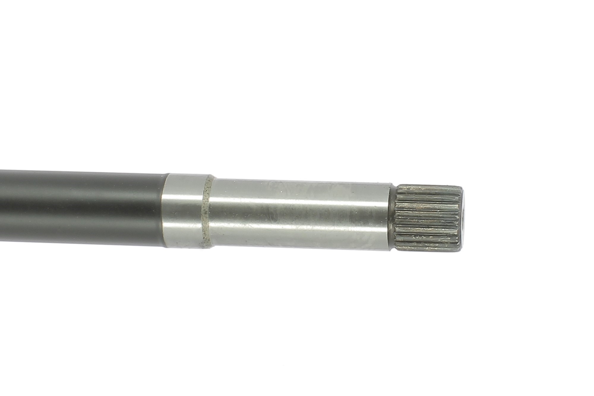 Cardã CEVAM ref. 50208
