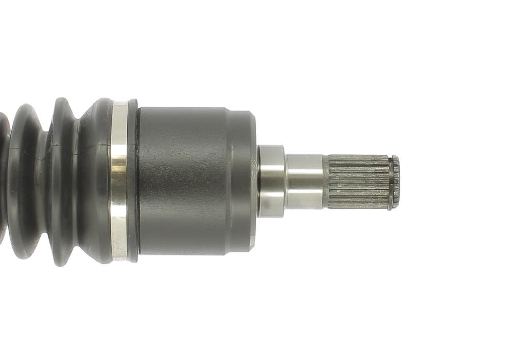 Cardã CEVAM ref. 50252
