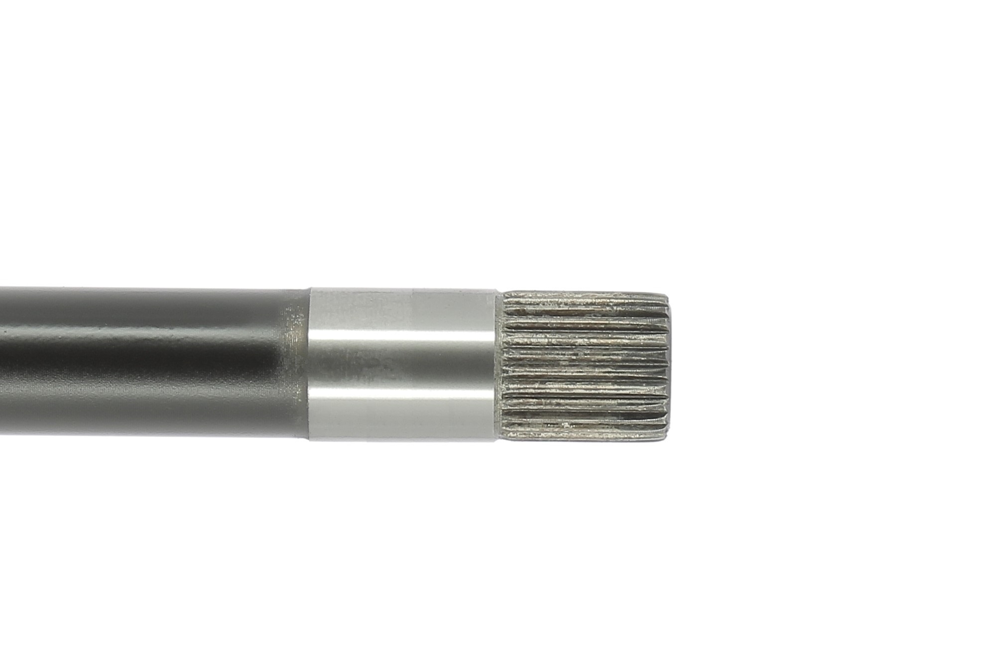 Cardã CEVAM 50254